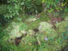MO05_JC028.JPG (82907 bytes)